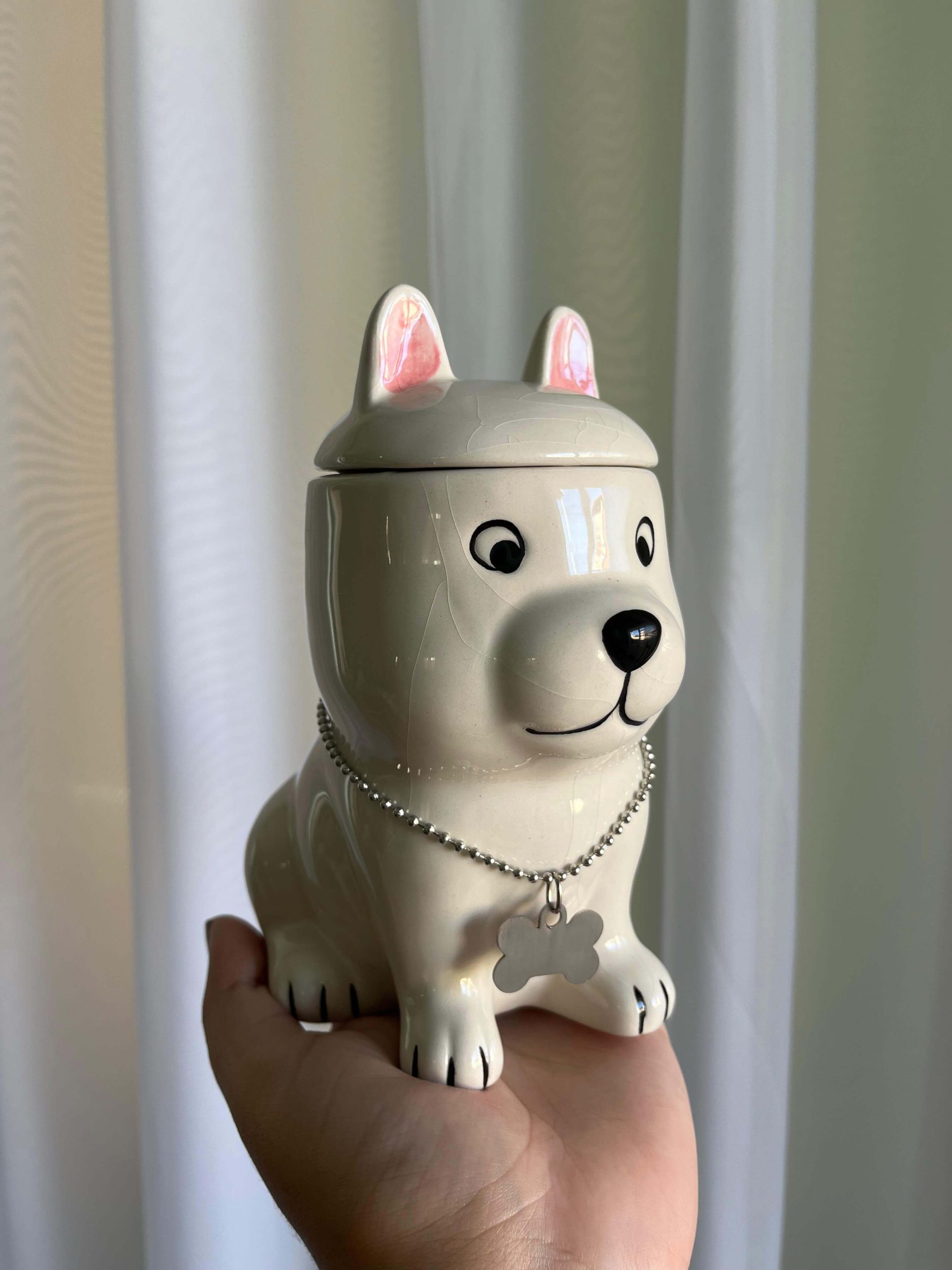 urna-cremacao-cachorro-scaled.jpeg