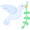 dove dove